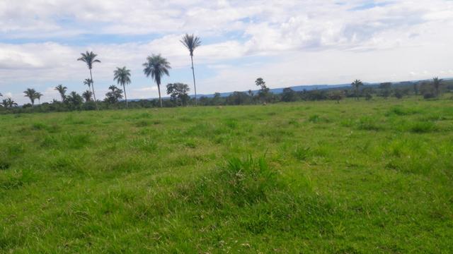 Troco Paraná, 350 alqueires, pecuária, Região de Tangará/ MT
