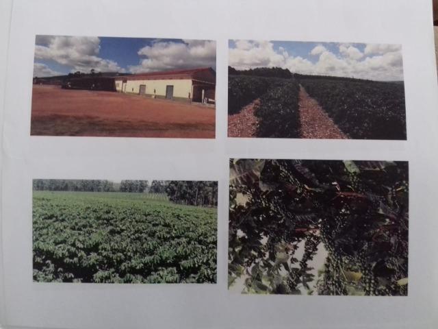 Fazenda Completa em Capelinha/MG - Foto 11
