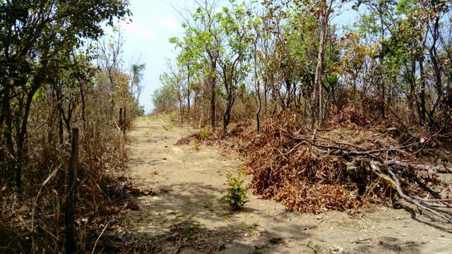 Terreno para construir a chácara dos seus sonhos! - Foto 3