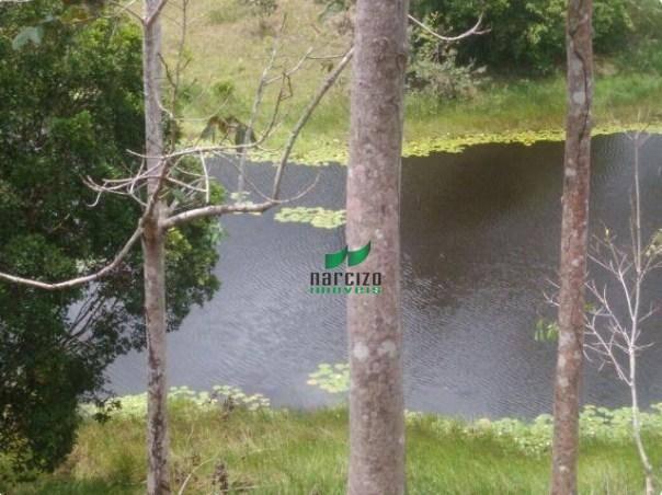 Linda fazenda à venda, 8000000 m² por r$ 6.300.000 - inocoop - itamaraju/ba - Foto 14