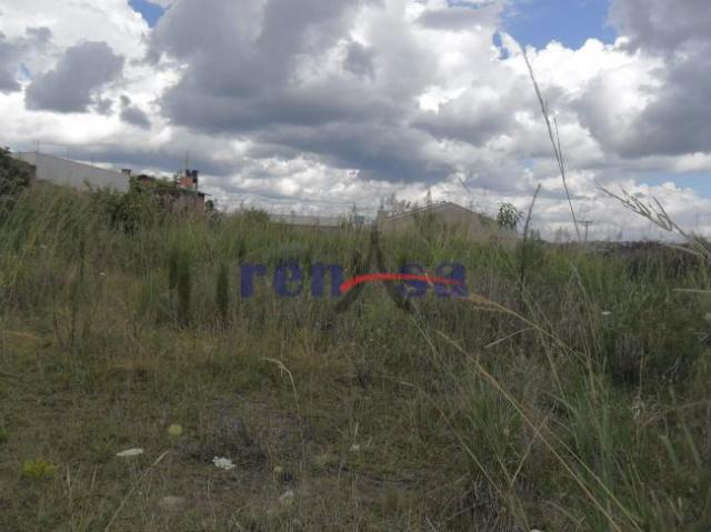 Terreno em caxias do sul - Foto 2