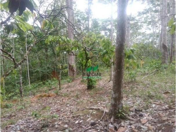 Linda fazenda à venda, 8000000 m² por r$ 6.300.000 - inocoop - itamaraju/ba - Foto 16