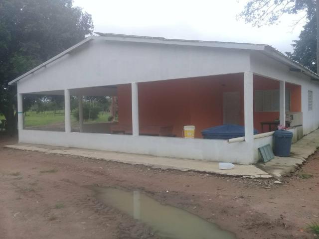 Fazenda 80 hectares próximo a Cuiabá - Foto 6