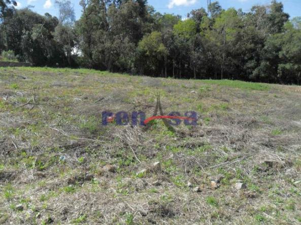 Terreno em caxias do sul - Foto 2