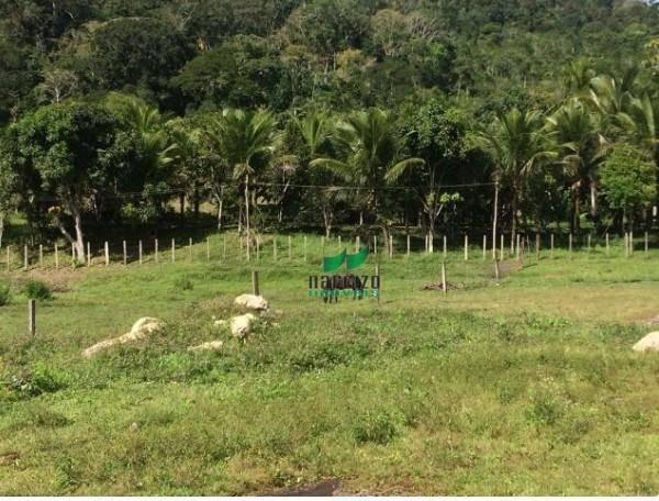 Oportunidade rara!!! venda da fazenda mil e um motivos - Foto 12