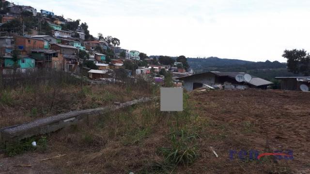 Terreno em caxias do sul