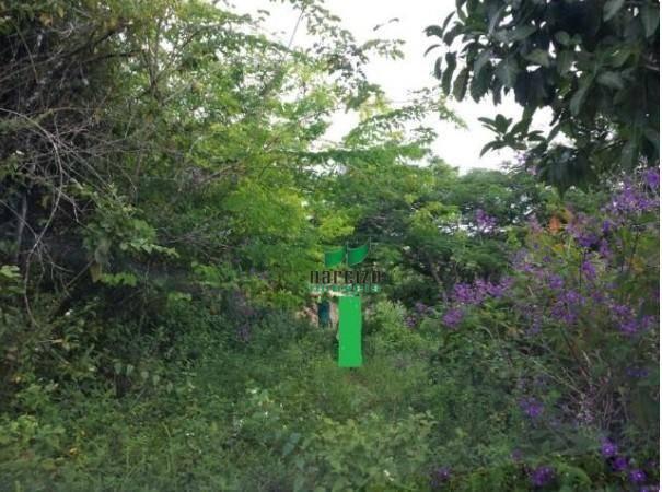 Fazenda na mata atlântica!!! - Foto 5