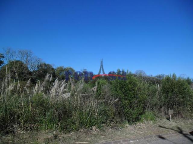 Terreno em caxias do sul - Foto 2