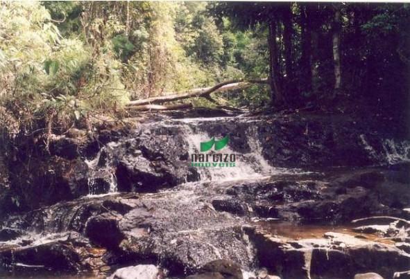 Fazenda na mata atlântica!!! - Foto 3