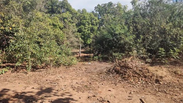 Sítio à venda, 2 quartos, Jardim Senador Vergueiro - Limeira/SP