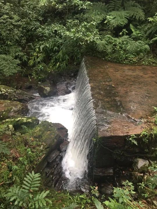 foto - São Francisco de Paula - 