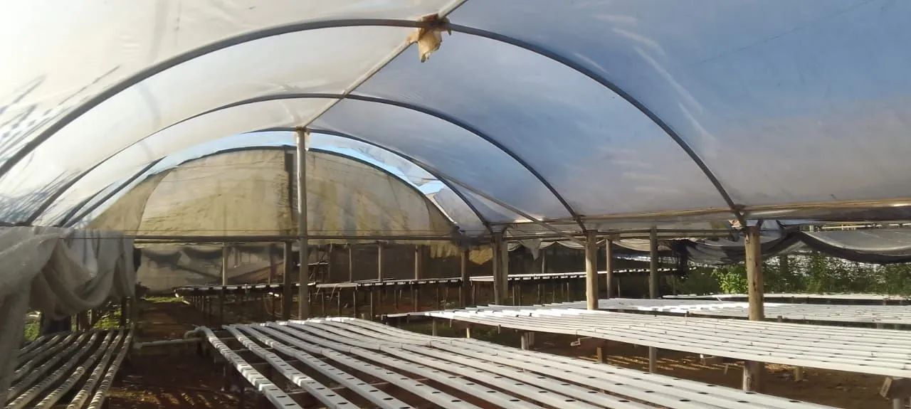 Vendo estufa agrícola hidropônica - Foto 2