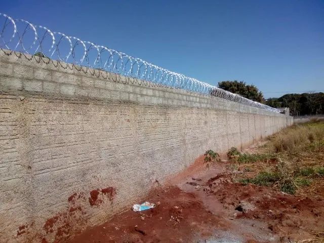 Fabrica de concertina atacado e varejo - Foto 3