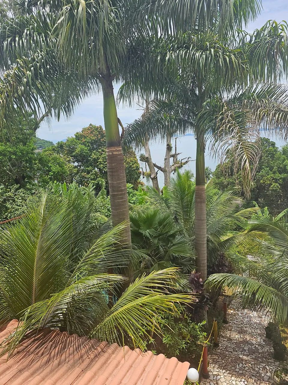 Apartamento mobiliado Mangaratiba 