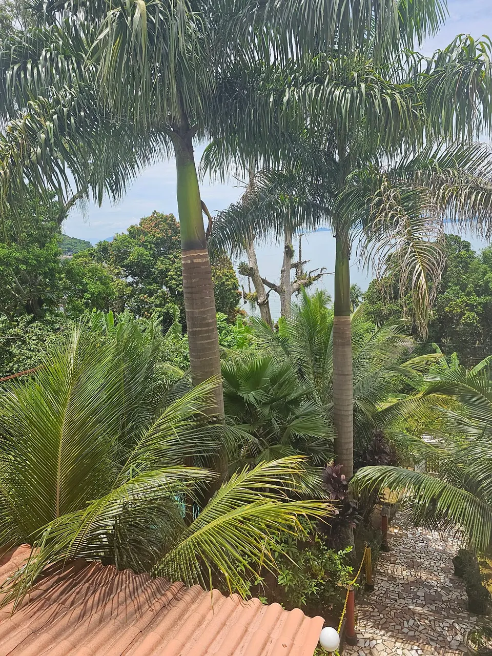Apartamento mobiliado Mangaratiba
