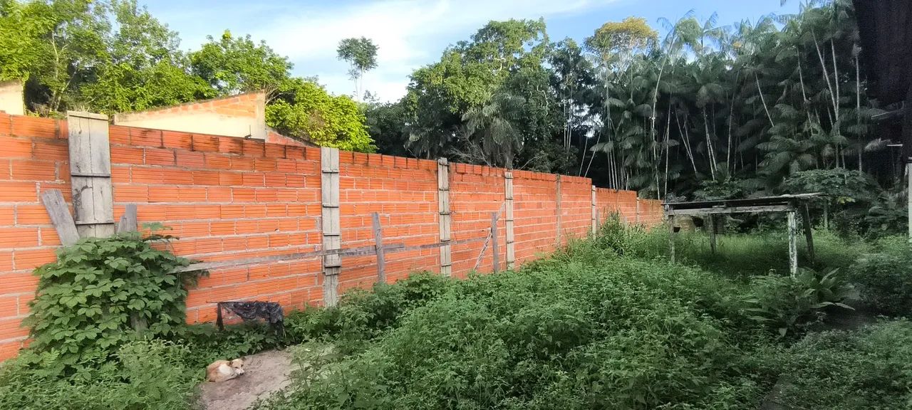 Casa aconchegante com varanda e quintal - Foto 2