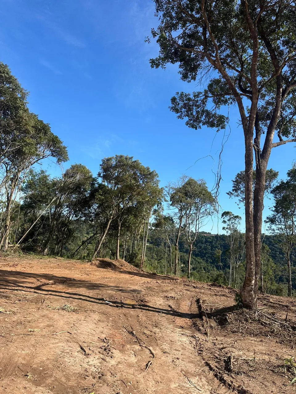 Seu Refúgio em São Roque Terreno em Condomínio Fechado