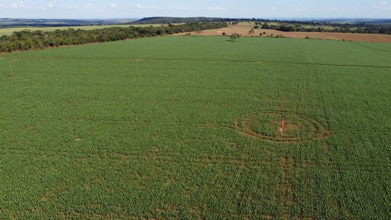 Fazenda município de catalão  - Foto 5