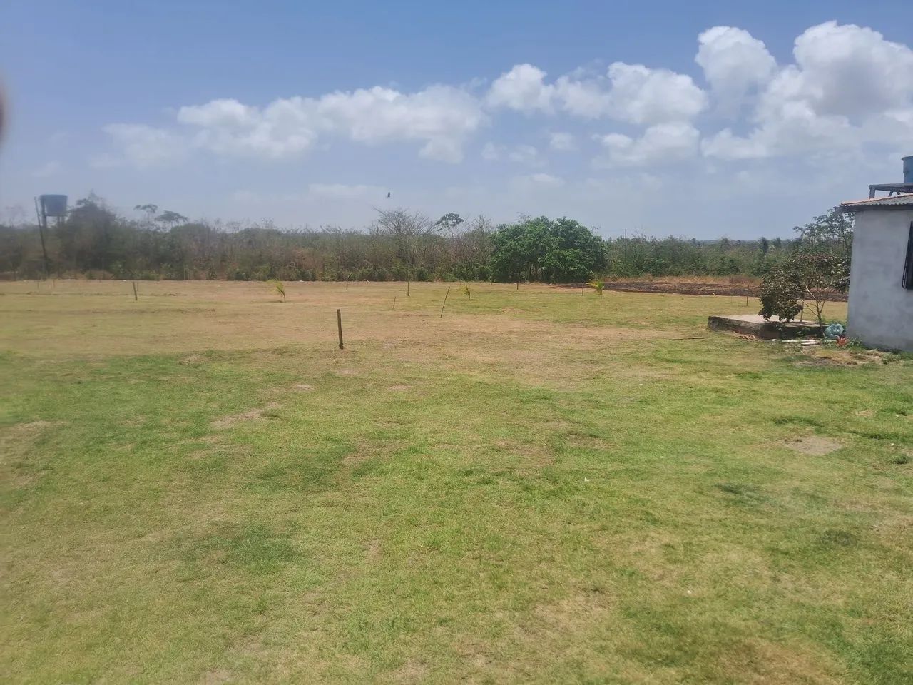 Oportunidade Sitio Próximo do Val Paraiso 8500m2 - Foto 3