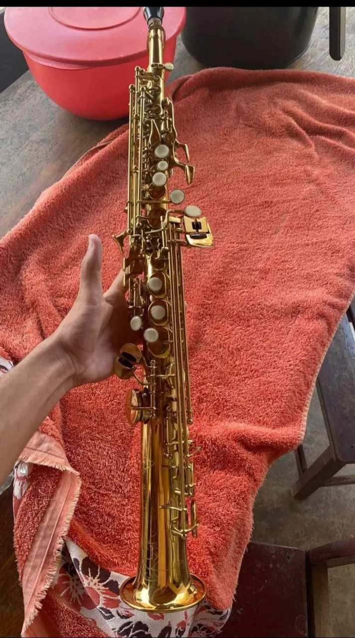 Sax soprano Michael