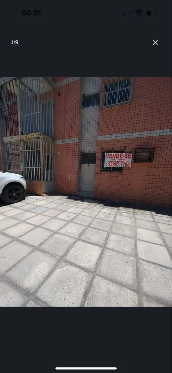 Foto - Paulista - Janga