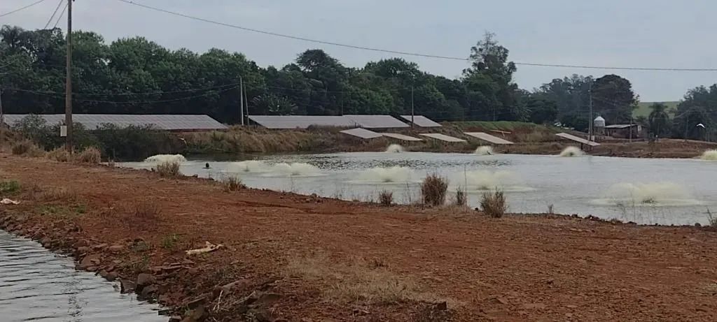 Fazenda de Piscicultura - Foto 4