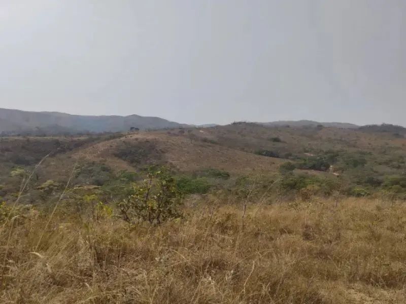 Fazenda 146 ha, Francisco, Lagamar MG - Foto 2