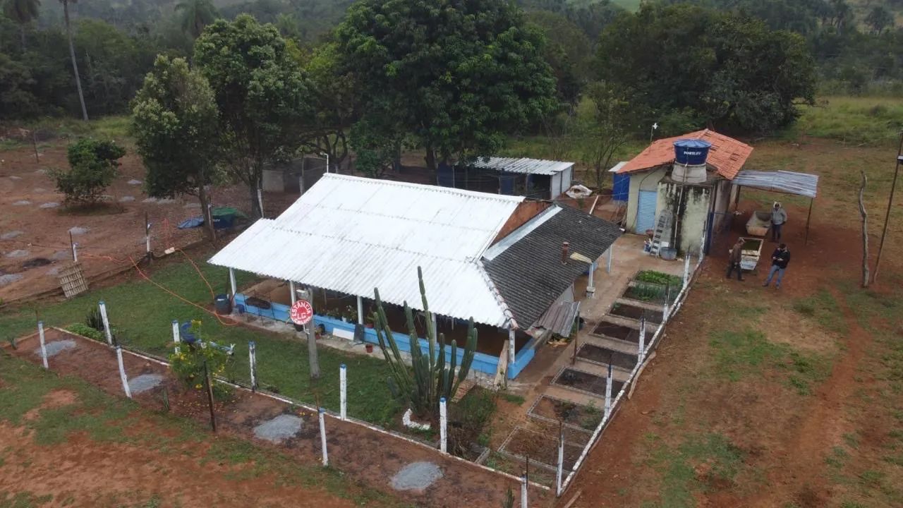 Sítio próximo do prata sentido campina verde  - Foto 5