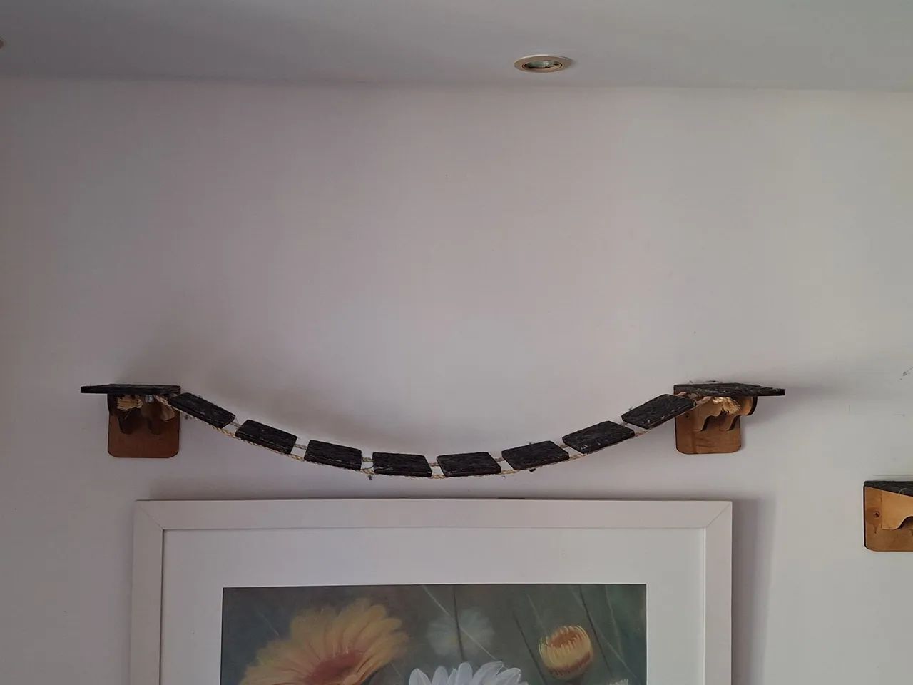 Playground Gatinhos - Foto 2