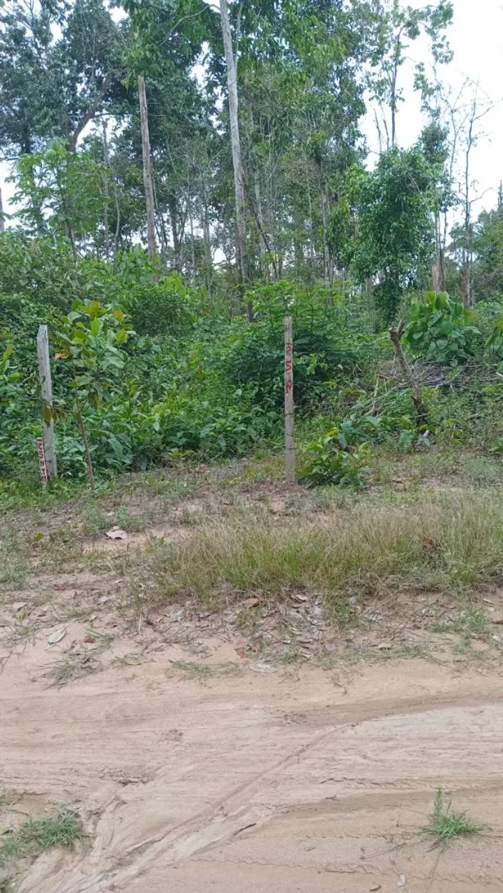 Terreno 20x50 20 min da ponte