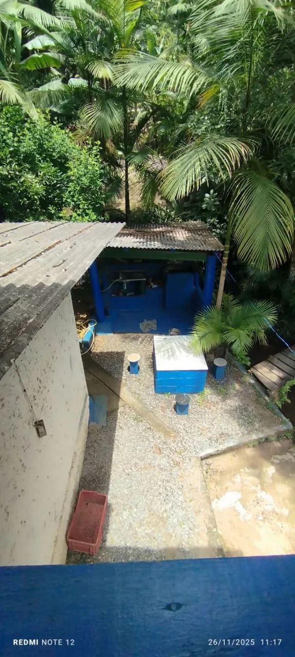 Chácara a Venda Canelinha  - Foto 4