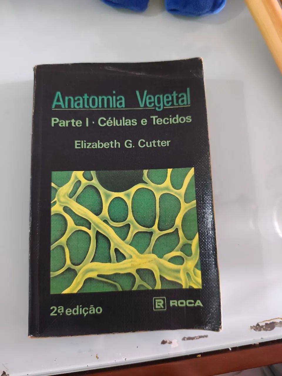 Anatomia Vegetal 2ª Edição  - Foto 2