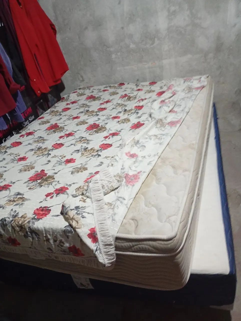 Cama boxe de mola 