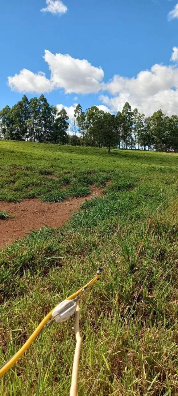 FAZENDA A VENDA  - Foto 3