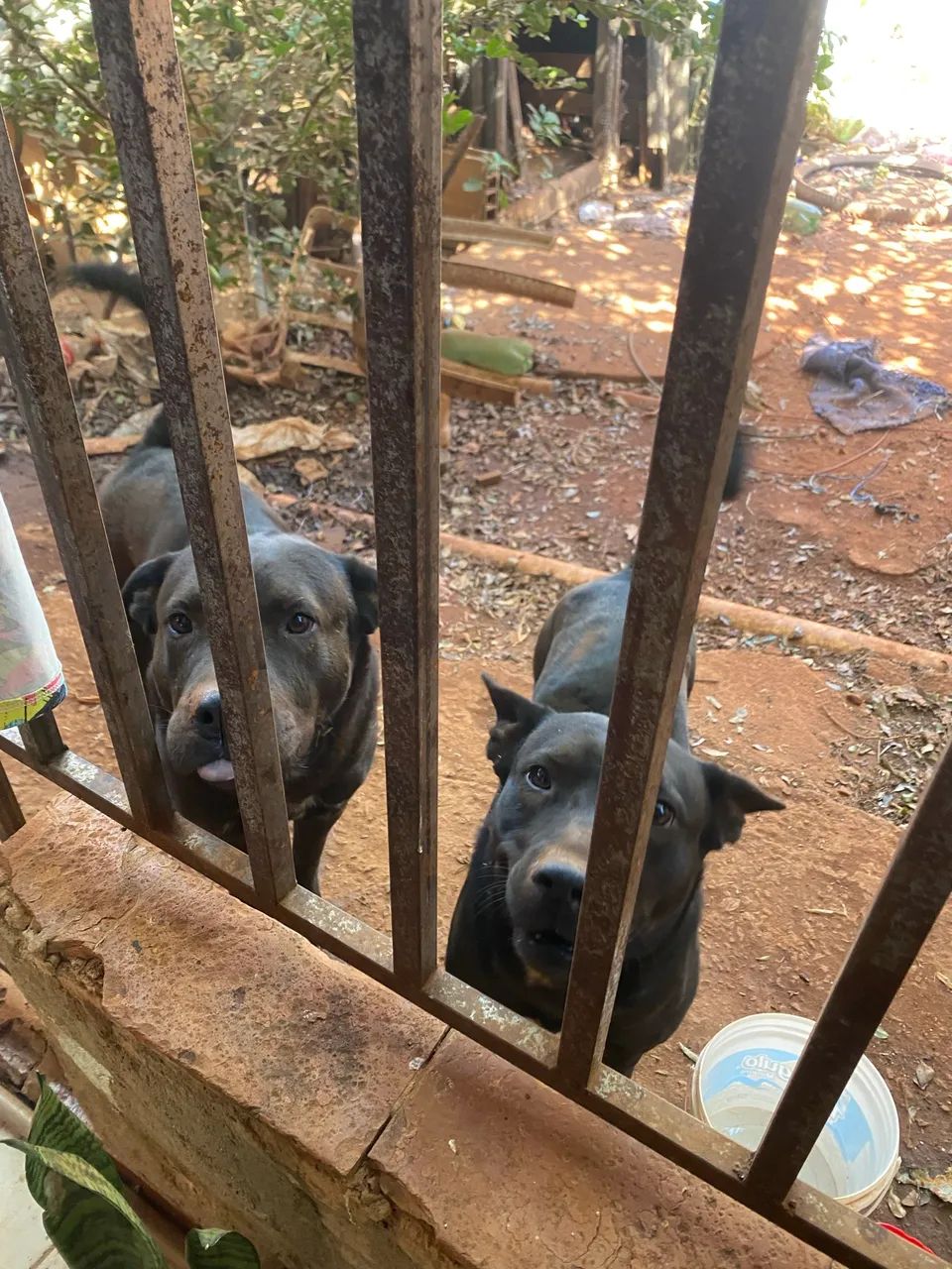 Doação  - Foto 3
