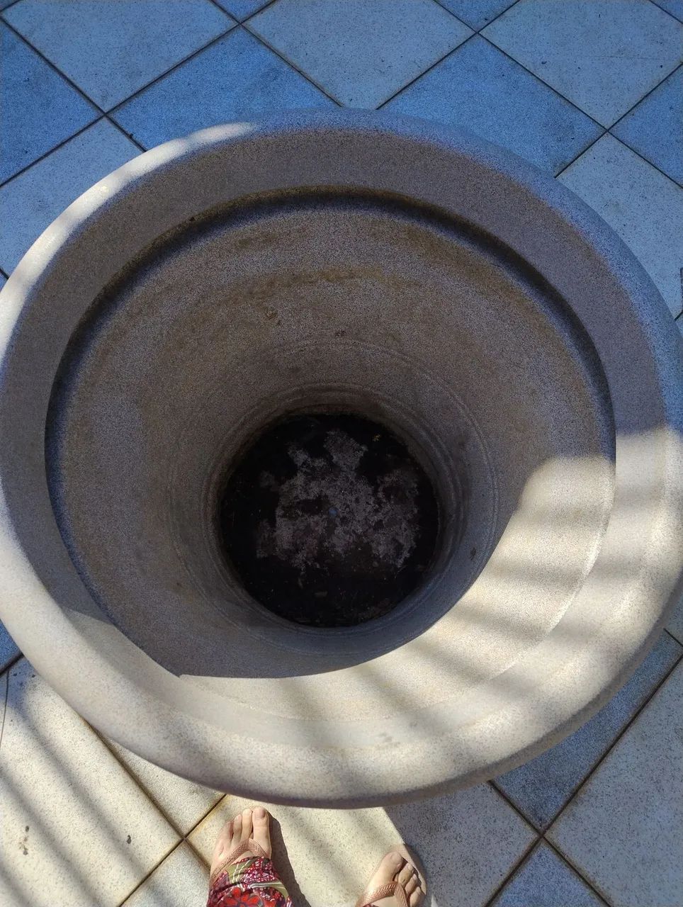 Vaso para frutífera  - Foto 2