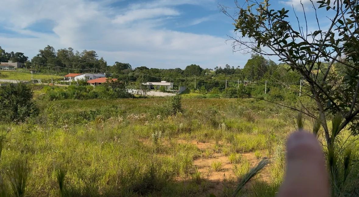 Area 10.000 m2 - Foto 4