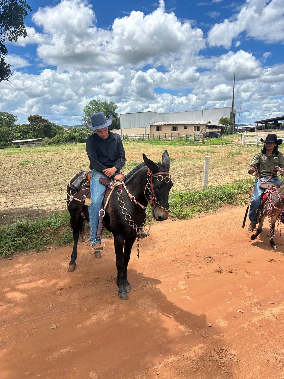 Burro de patrão, vendo com traia de frente toda em metal amarelo  - Foto 2