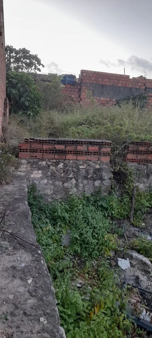 Terreno 5x18 No paraíso do sul, Santa Maria - Foto 2