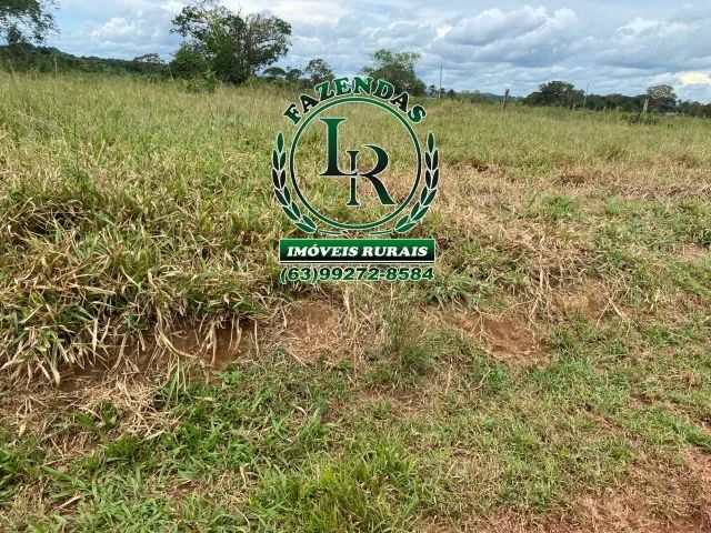 Fazenda Dupla Aptidão Tocantins Lavoura e Pecuária - Foto 4