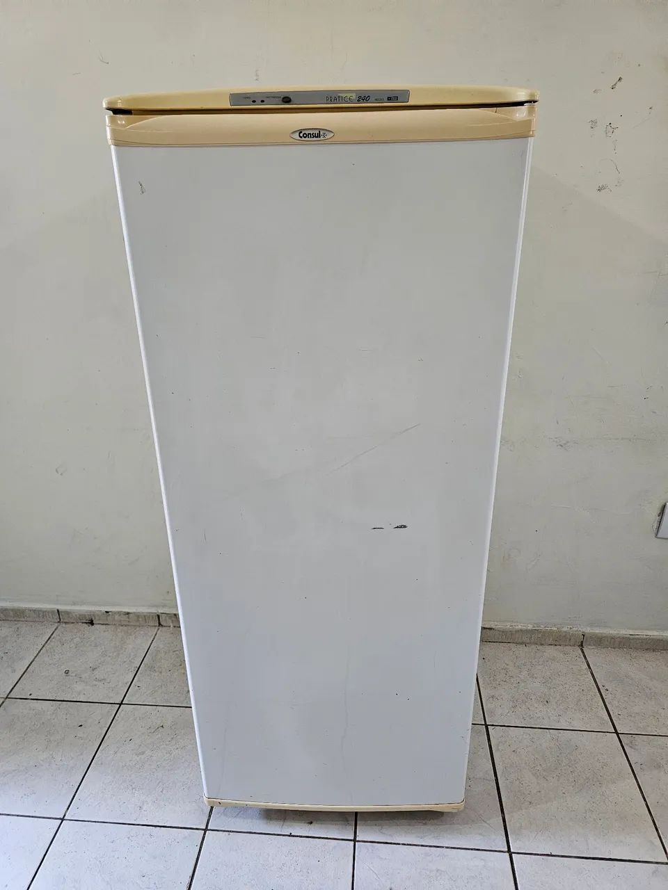 Freezer Vertical Consul Pratice 240