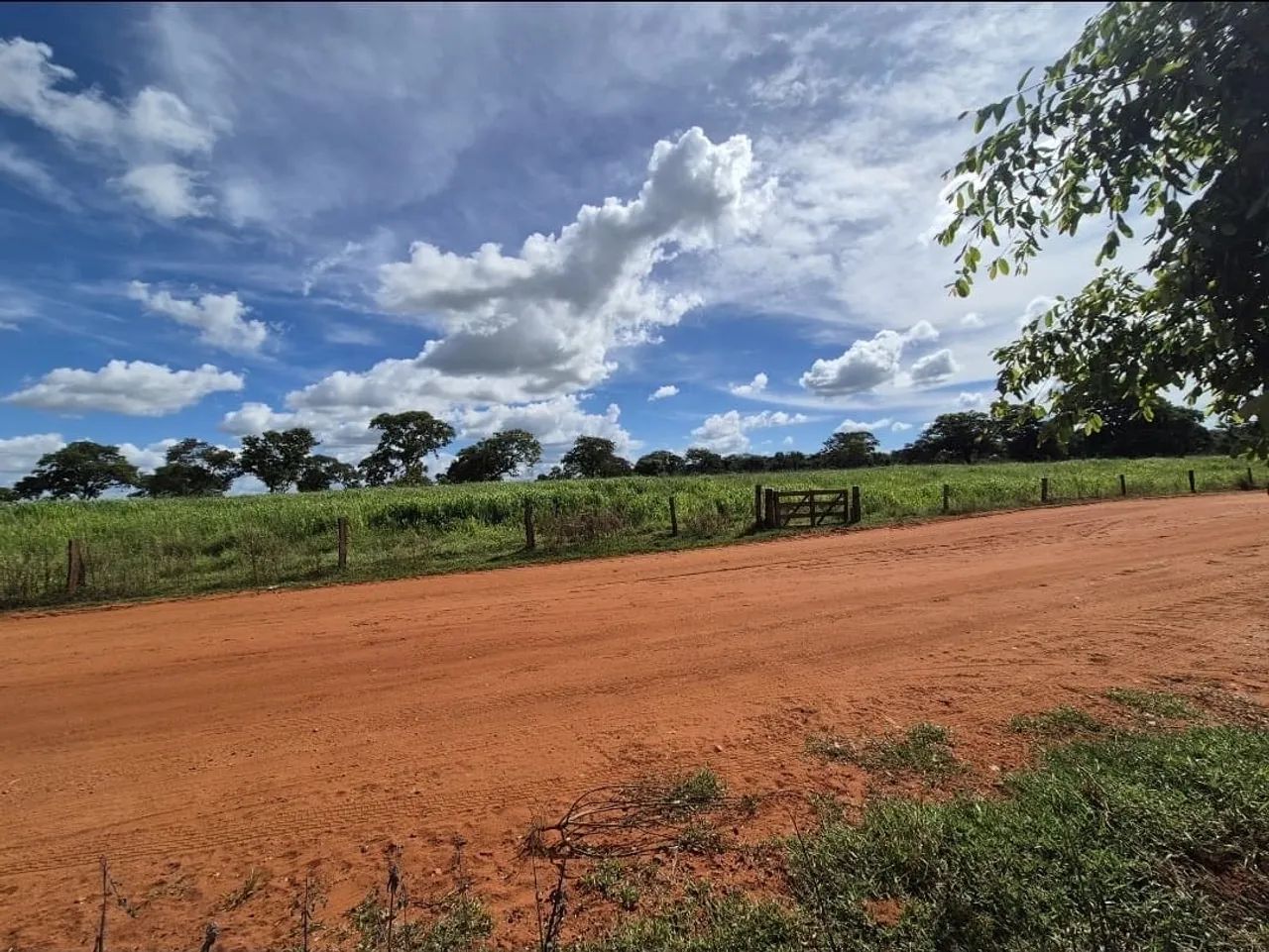 Fazenda em santa vitória  - Foto 4