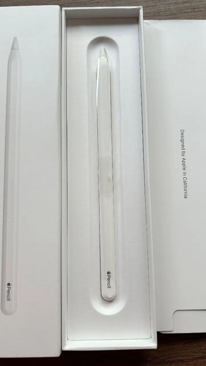 Apple Pencil 2ª geração - Tablets e E-Readers - Belvedere, Belo