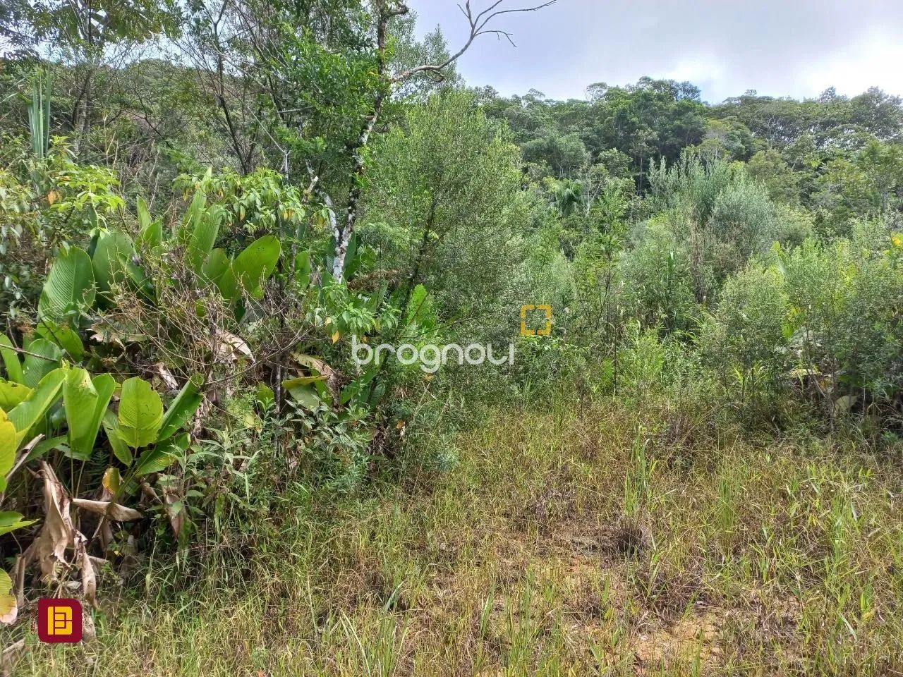 Terreno à venda em Águas Mornas - Foto 3
