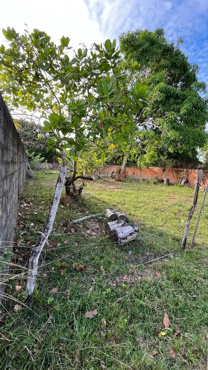 Terreno no pai André  - Foto 2