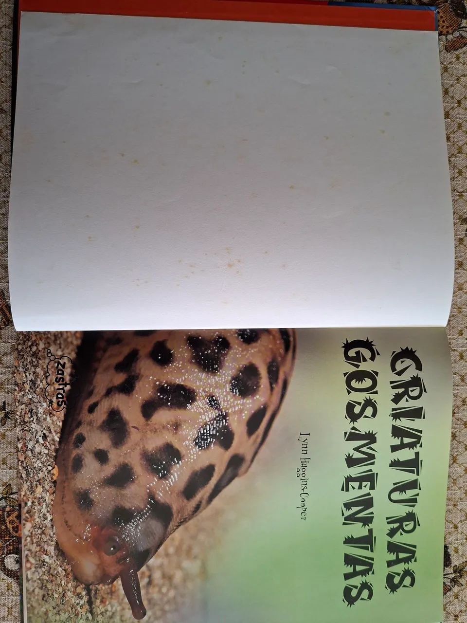 Livro  - Foto 2