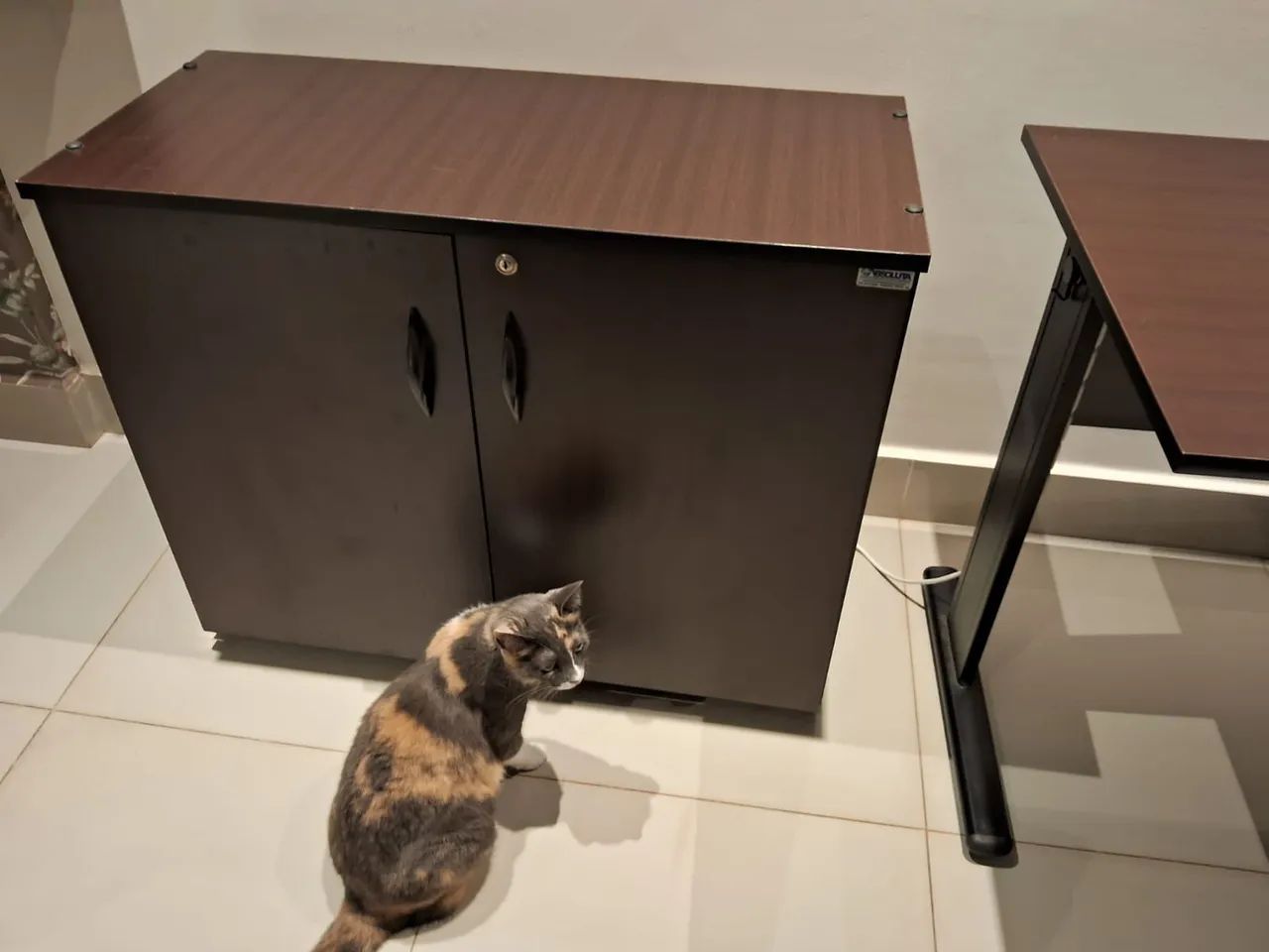 Vendo Mesa de computador e armario - Foto 3