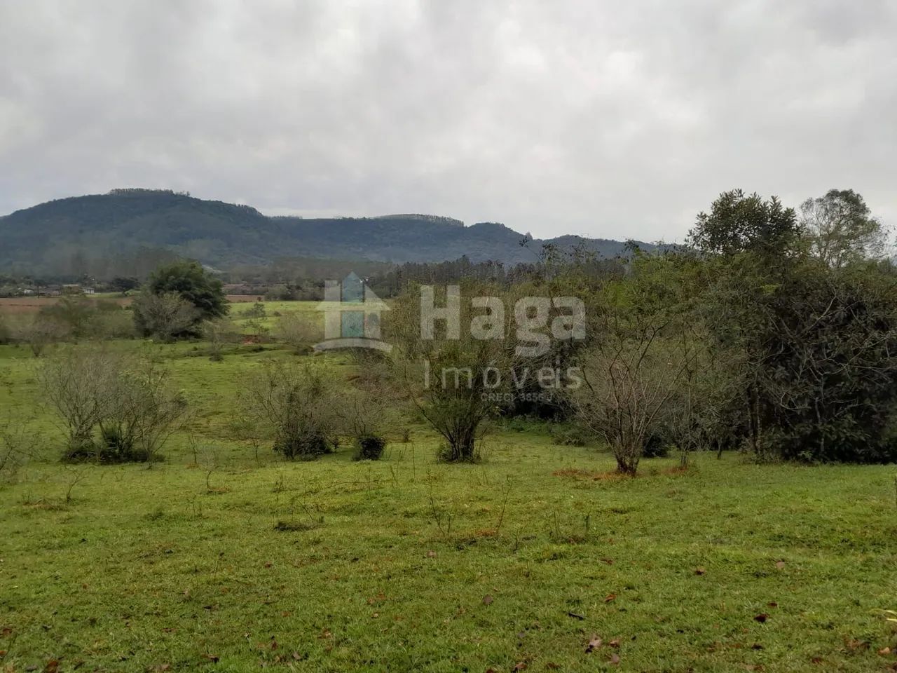 Sítio à venda em Turvo/SC - Foto 4