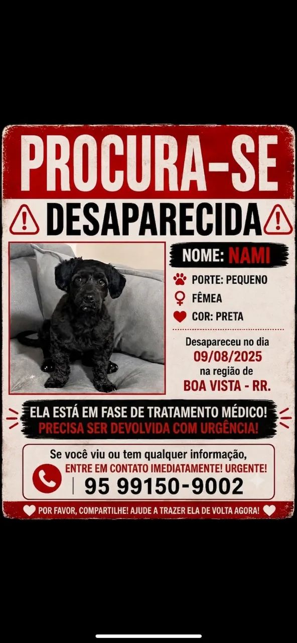 Roubada no caçari