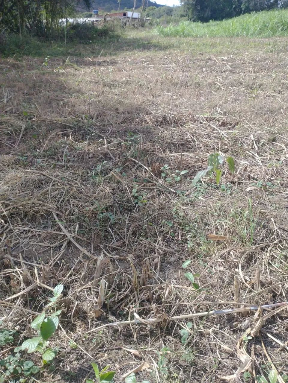 Vende-se Terreno 3.000m2  - Foto 4